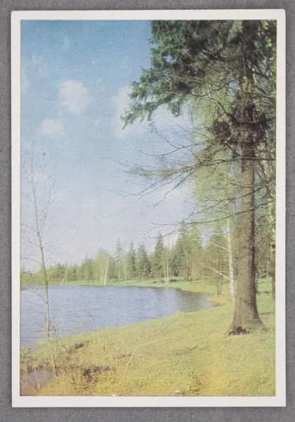 Открытка "Подмосковье" Чистая 1967 г. СССР Фото Д. Липилина