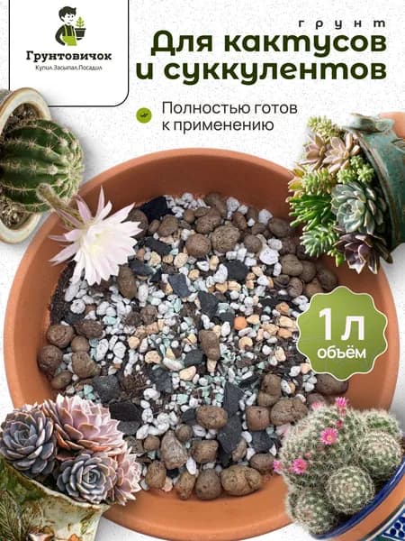Грунт для кактусов и суккулентов, 1л