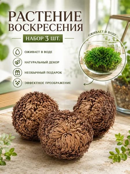 Воскрешение сухих цветов/Восстанавливает цвет при попадании воды,3 шт