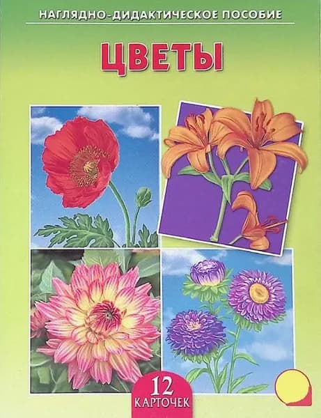 Дидактическое пособие "Цветы"