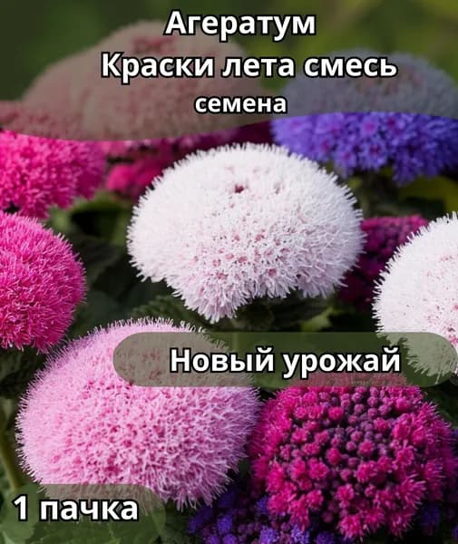 Агератум "Краски лета", смесь, семена 1пачка