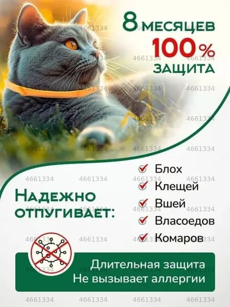 Воротник для животных