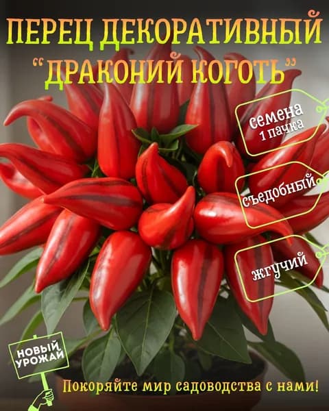 Перец декоративный Драконий коготь, семена, 10 шт.