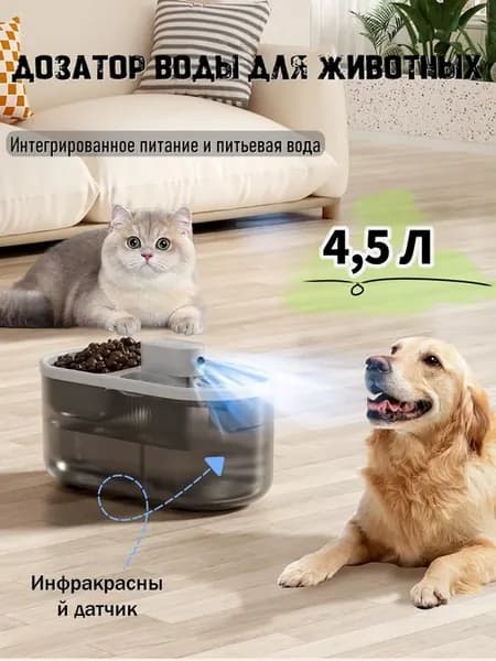 автоматическая поилка и кормушка для кошек