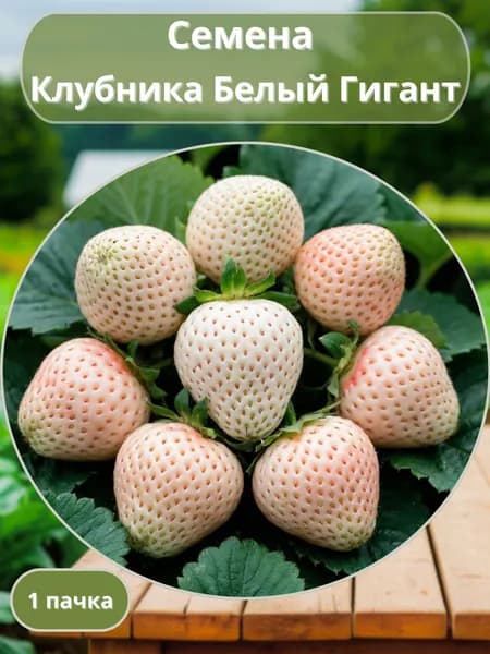 Клубника Белый Гигант, семена 10 шт