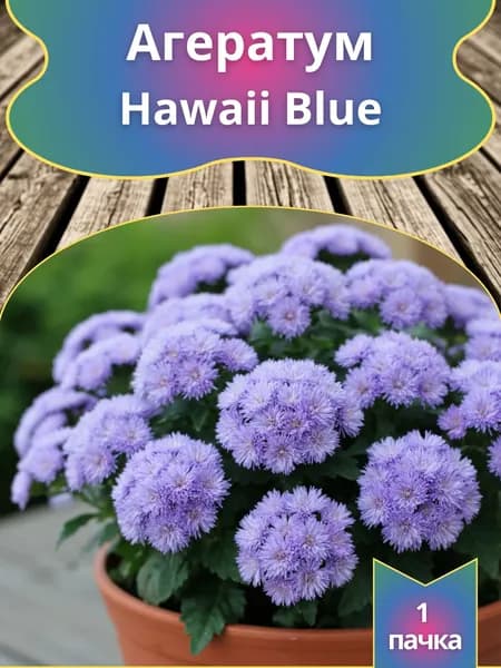 Агератум Hawaii Blue семена 10 шт