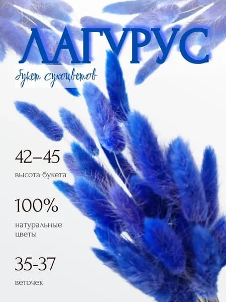 Сухоцветы, 55 см, 40 гр, 55 шт