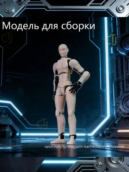 Модели анатомии человека подходят для рисования и зарисовки эскизов. Суставы подвижны. Требуется самостоятельная сборка.