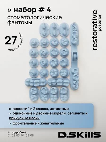 SET #4 Модели зубов для реставрации + прикусные блоки + интактные зубы