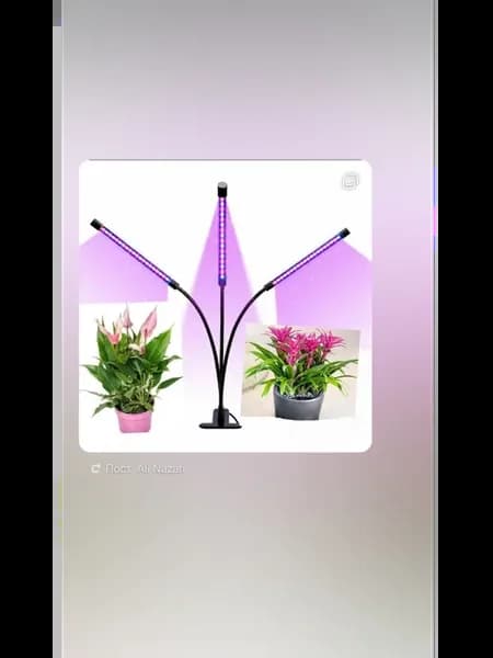 фитолампа для растений