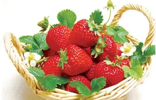 Роспись розами ручной работы