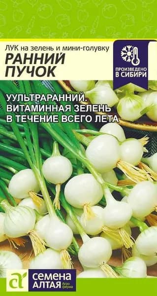 Семена "Лук на зелень и мини-головку , Ранний Пучок", Семена Алтая