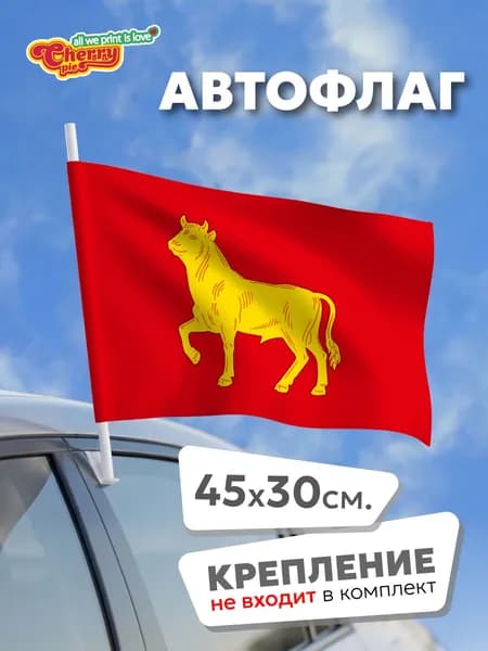 Флаг 45x30 Куйбышев (Новосибирская область)