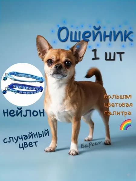 Ошейник для кошек и мелких пород собак с колокольчиком, синий/голубой