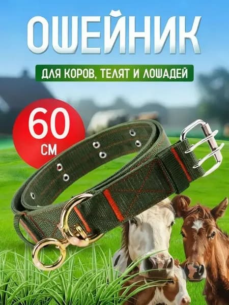 Ошейник для Скота, Коров, Телят, Лошадей 60 см/30 мм 4 слоя нейлон