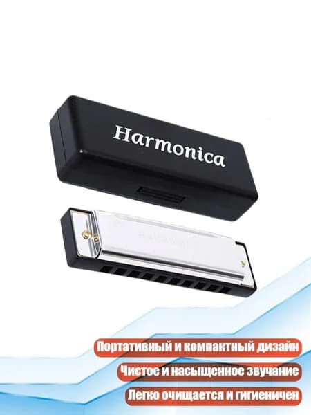 Диатоническая гармоника с 10 отверстиями, Серебро