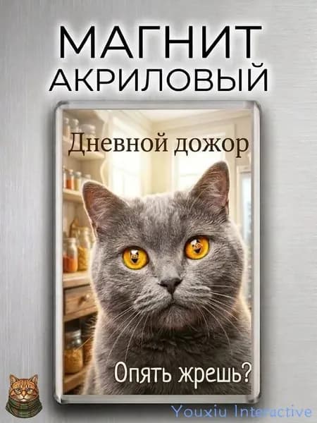Магнит на холодильник "Дневной дожор, Опять жрешь? с котом" / Прикольный смешной магнит с котом, для худеющих, не жрать