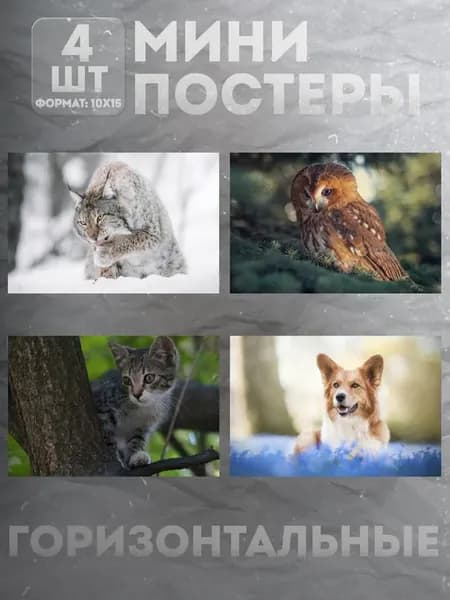 Мини постеры 10 на 15 (набор) «Животные» 4 шт