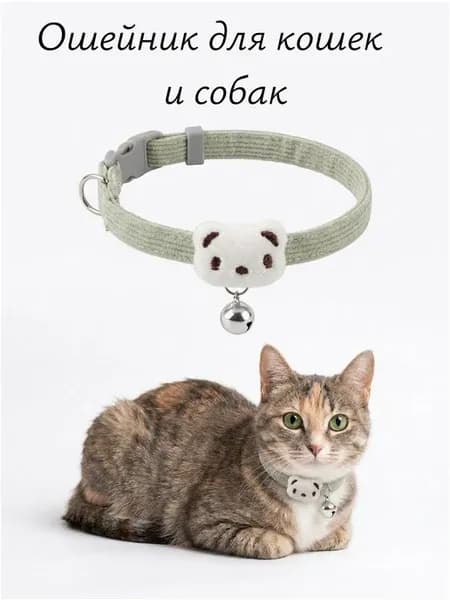 Ошейник для кошек декоративный