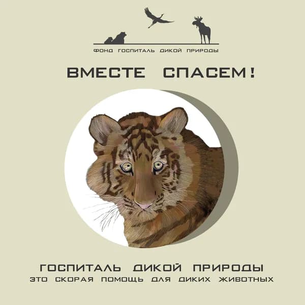 Благотворительный сертификат фонда "Госпиталь Дикой Природы"