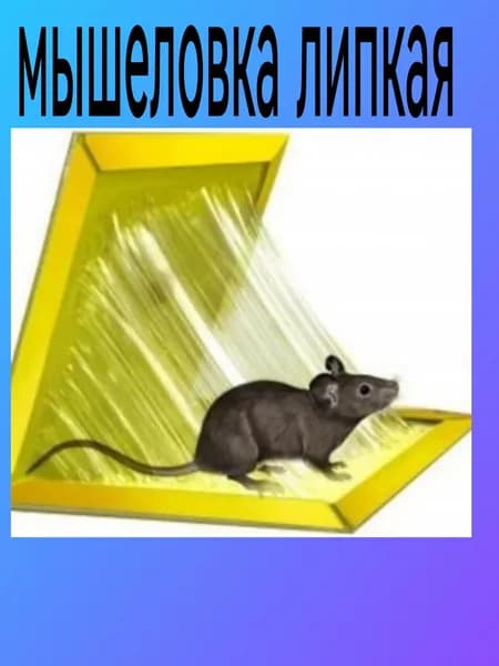 Мышеловка липкая клеевая 1 штука