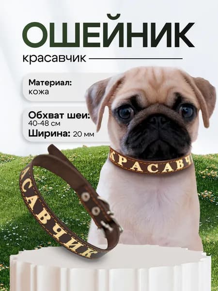 Кожаный ошейник для собак с надписью "Красавчик", коричневый, 40-48 см, ширина 2 см