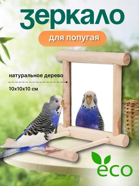 Зеркало для попугая в клетку с жердочкой. Игрушка для попугая.