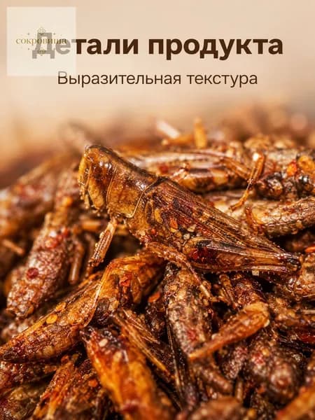 Аппетитные, хрустящие и острые закуски для дегустации