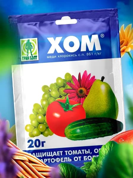 от фитофторы помидор средство