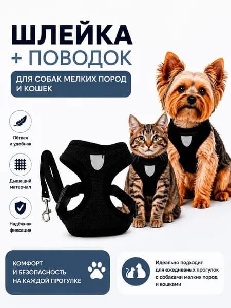 шлейка для кошек, поводок для маленьких пород собак