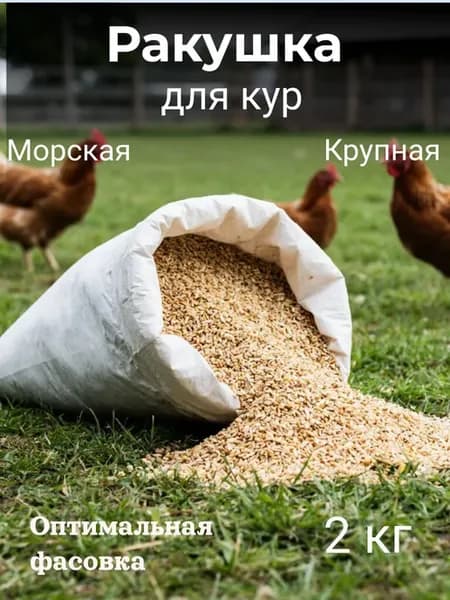 Ракушка морская, кормовая для курей крупная 2 кг