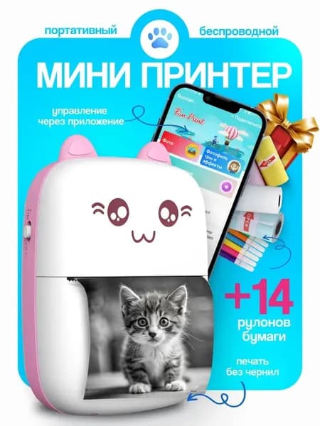 Мини-принтер термо, Монохромный
