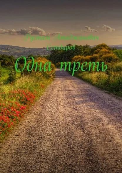 Одна треть | Сетдаров Рустам Атаджанович | Электронная книга