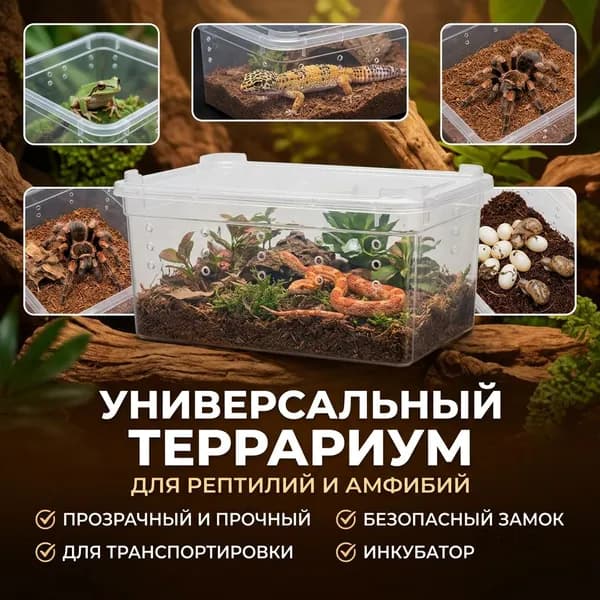 Террариум для рептилий и амфибий: лягушек, ящериц, змей, пауков, улиток и черепах