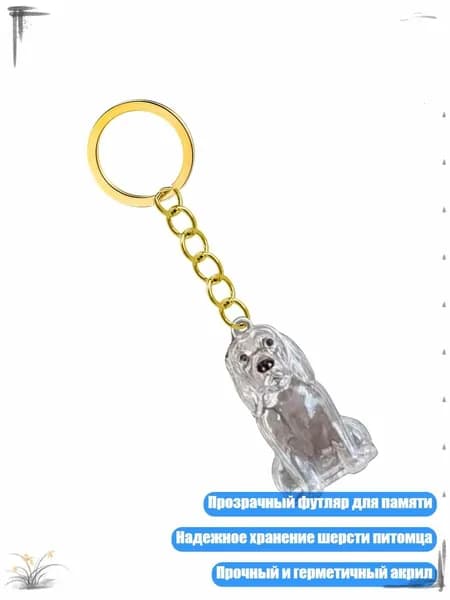 Легкий брелок для хранения шерсти питомца в прозрачном футляре, - Золотистый ретривер