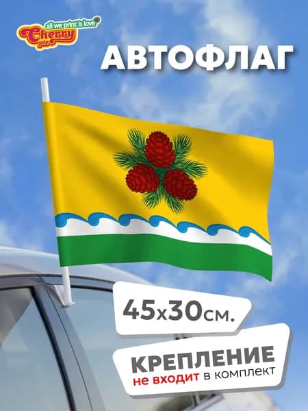Флаг 45x30 Чойский район (Алтай)