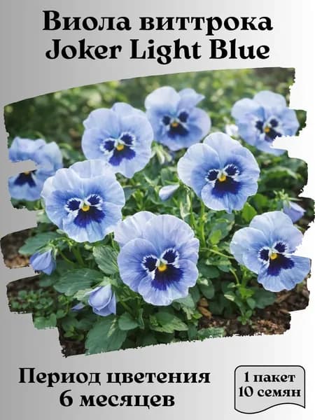 Виола виттрока Joker Light Blue, семена, 10 шт.