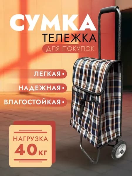 Сумка тележка на колесиках