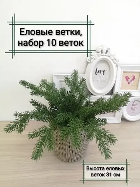 Новогодние еловые ветки для декора