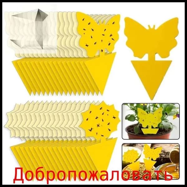 Ловушка для садовых вредителей