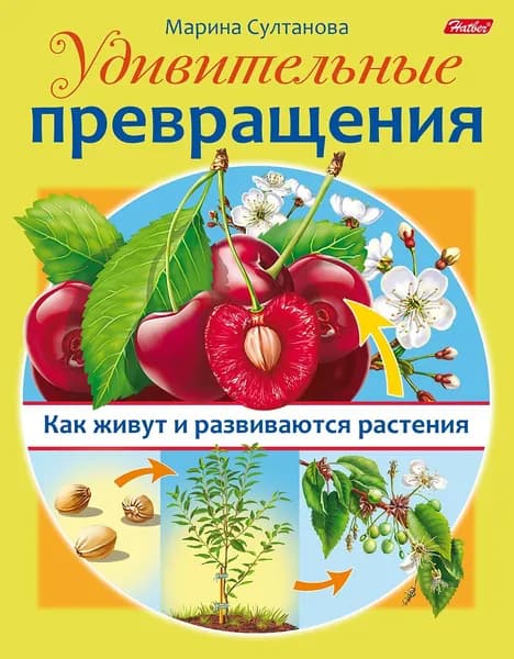 Удивительные превращения. Как живут и развиваются растения | Султанова Марина