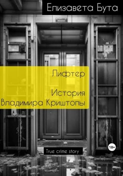 Лифтер. История Владимира Криштопы | Бута Елизавета Михайловна | Электронная книга