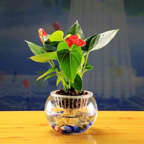 Горшок для цветов, цвет разноцветный