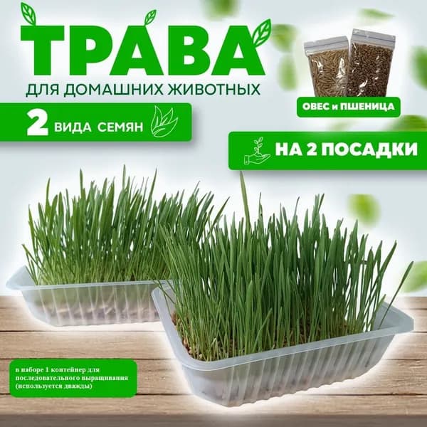 Трава для кошек "Мяу - трава" / набор для выращивания лакомства