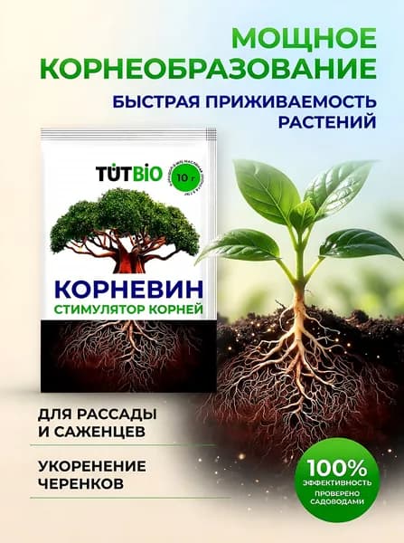 Корневин 10 г стимулятор роста корней / Укоренитель для растений, рассады, цветов и саженцев