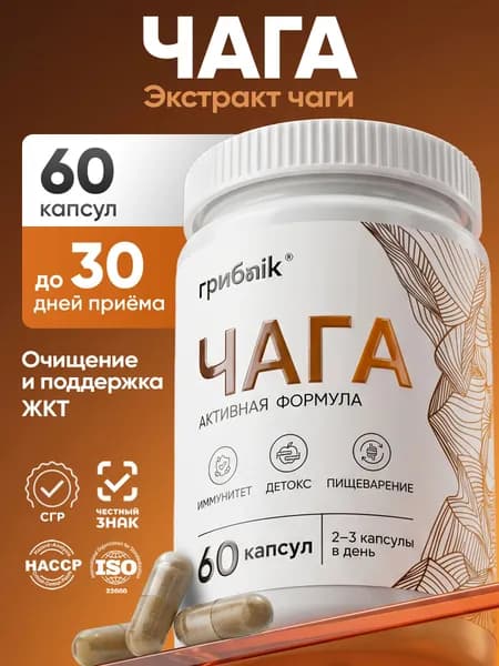 Чага натуральная экстракт в капсулах 60 капсул, грибnik