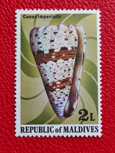 Марки Мальдивы 1979. "Conus imperialis" - Ракушки. MNH - См фото