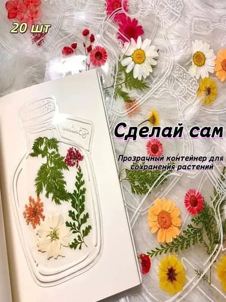 Альбом Гербарий