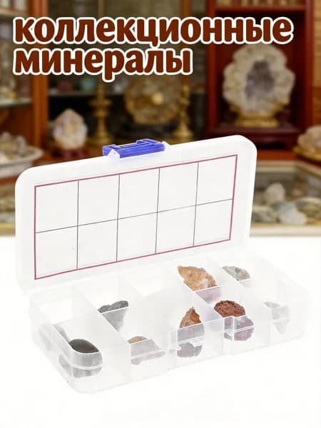 Набор из 10 натуральных горных пород и минералов для детского обучения и демонстрации