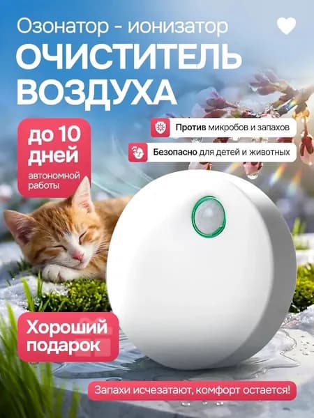 Очиститель воздуха 270121-1